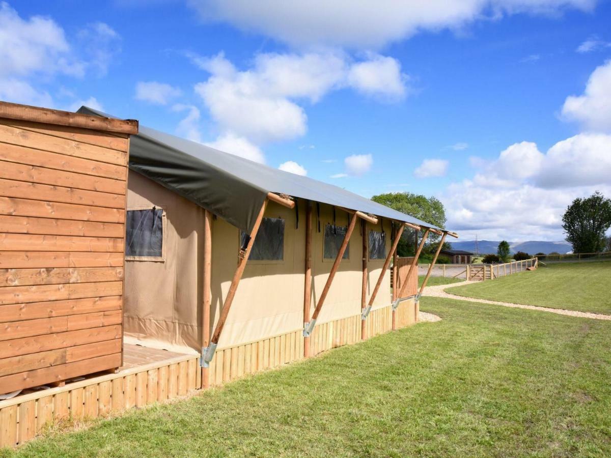 Farm stay Carr's Hill Luxury Safari Tents